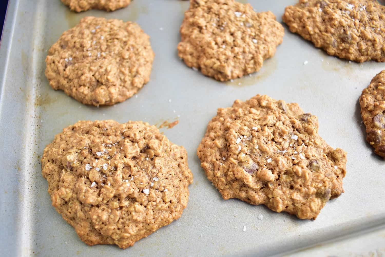 Oatmeal cookie 1 CT