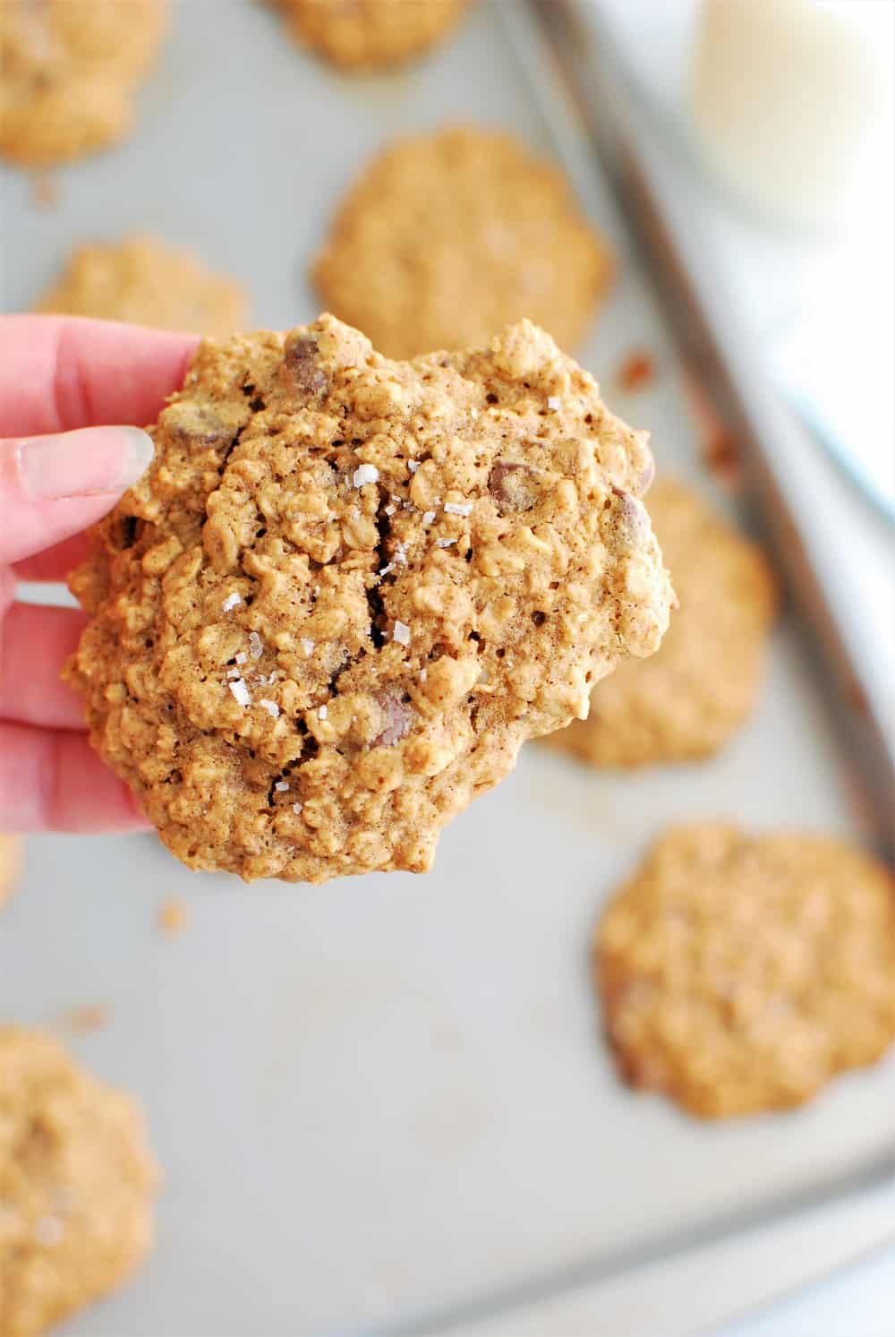 Almond butter oatmeal cookie