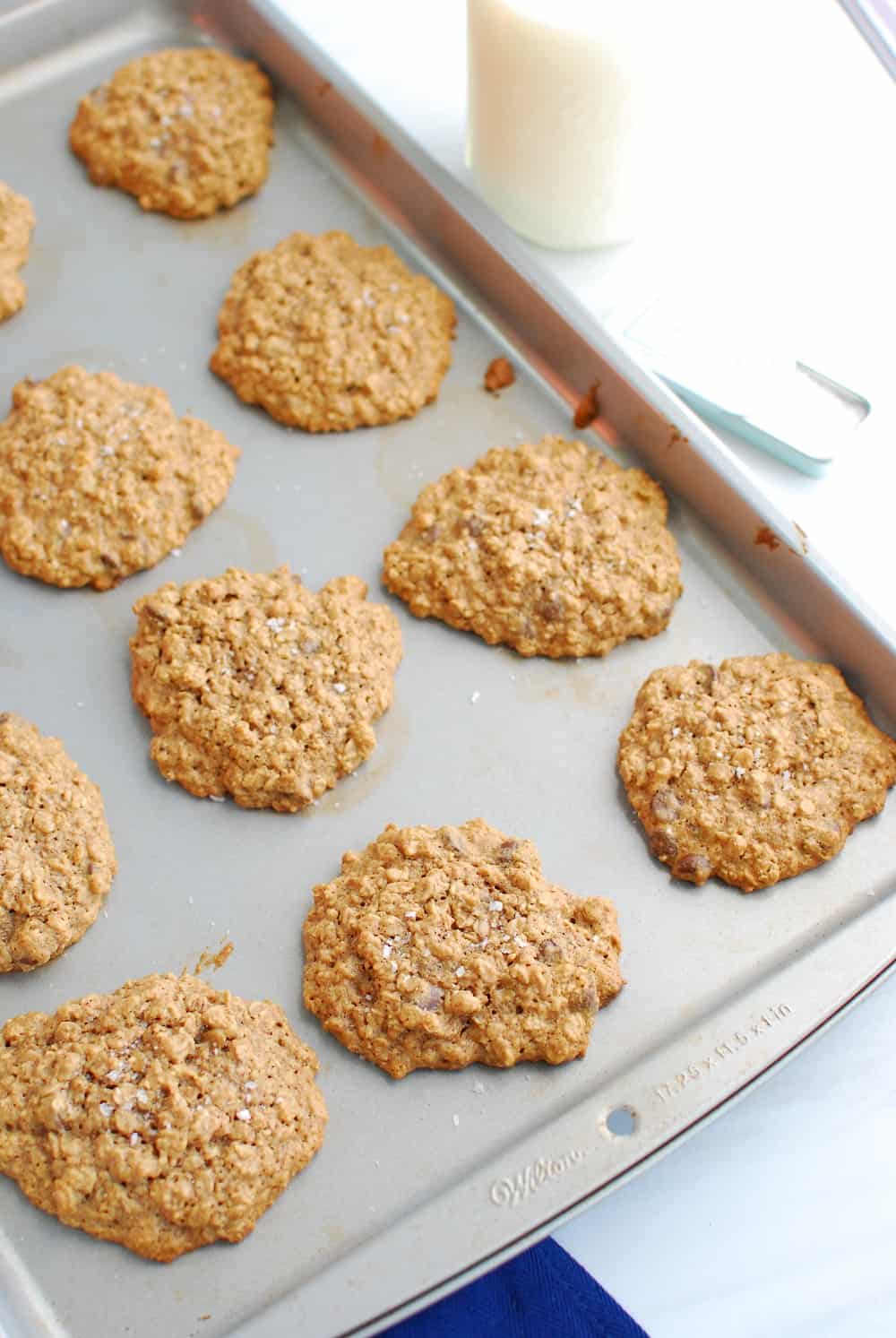 Almond butter oatmeal cookies on a cookie sheet
