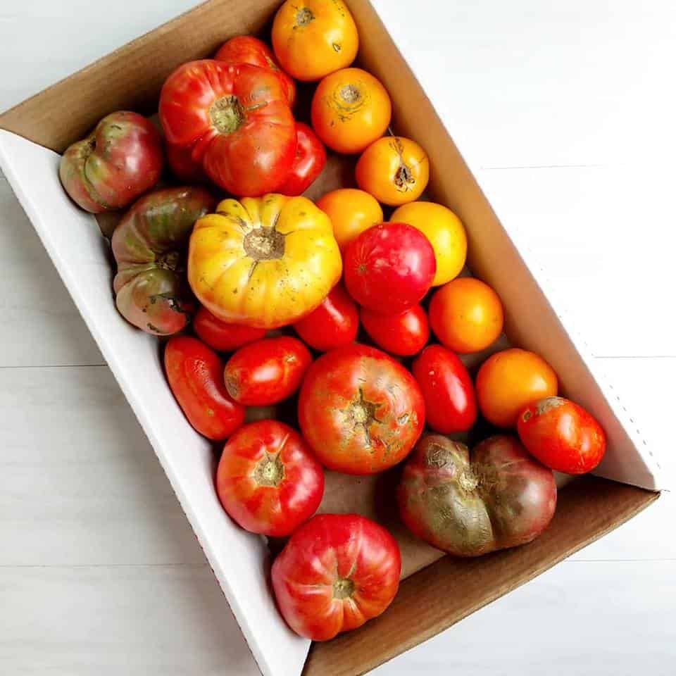 Large box filled with heirloom tomatoes