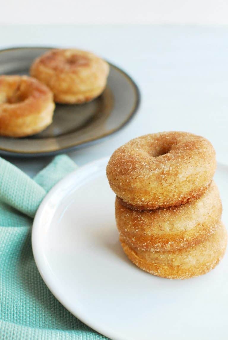 Cinnamon Sugar Dairy Free Donuts Dairy Free for Baby