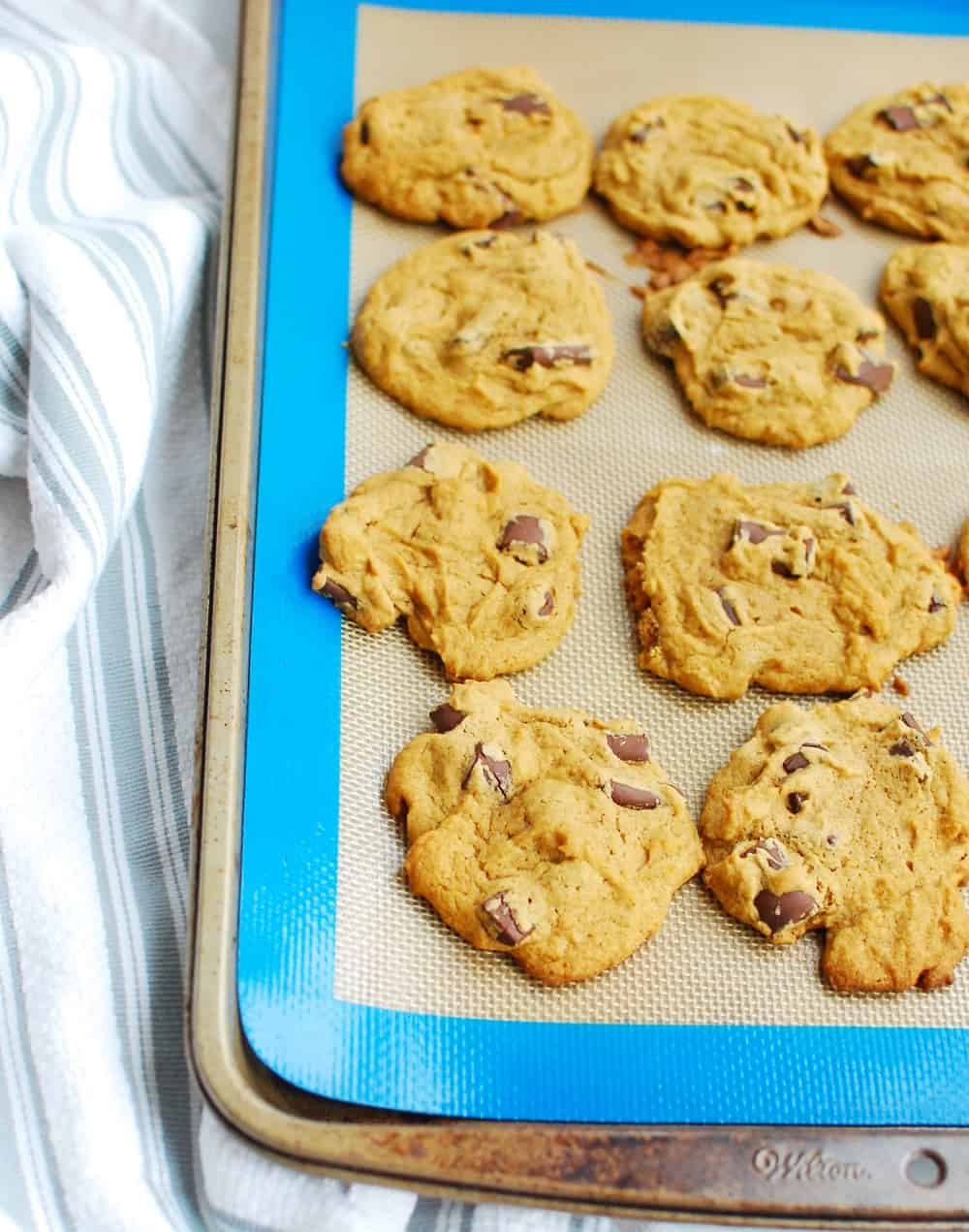 A baking sheet full of just baked cookies
