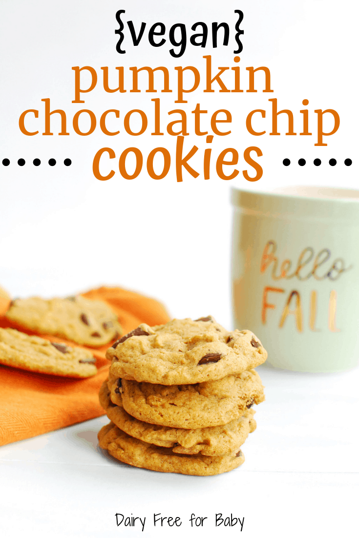 Vegan Pumpkin Chocolate Chip Cookies Dairy Free for Baby
