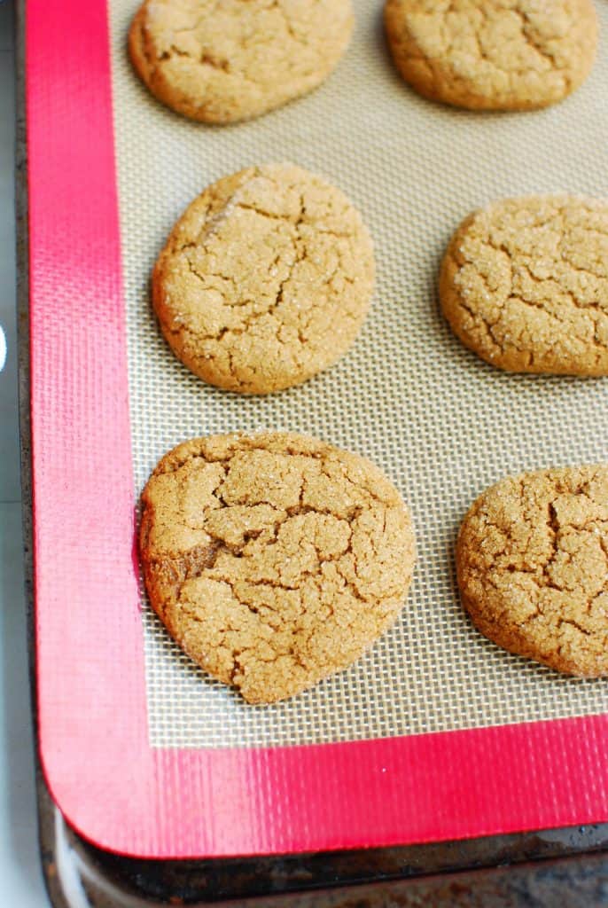 Vegan Gluten Free Ginger Snaps Dairy Free for Baby