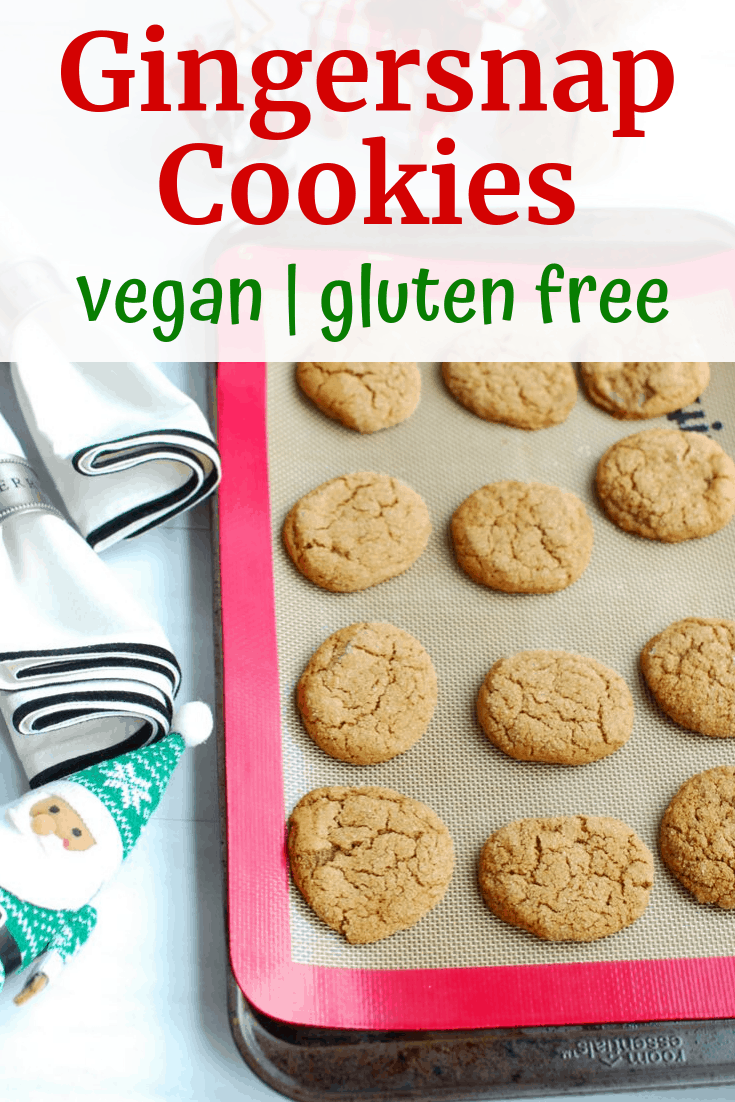 Vegan Gluten Free Ginger Snaps Dairy Free for Baby