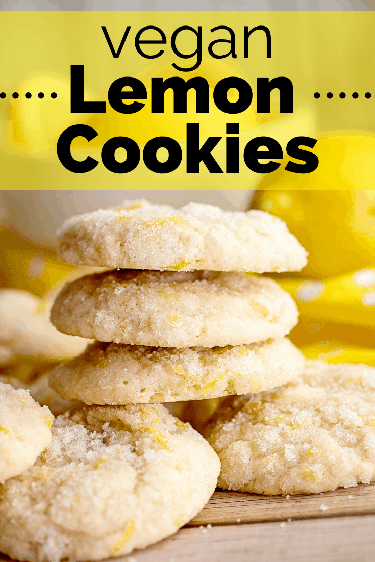 The Best Vegan Lemon Cookies Dairy Free for Baby