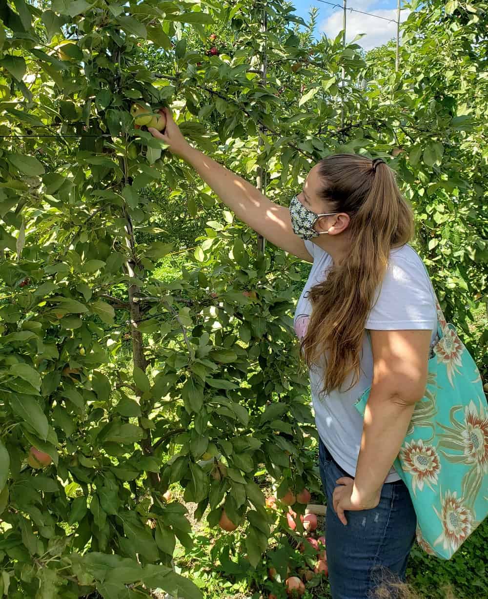 a woman in an orchard picking an apple