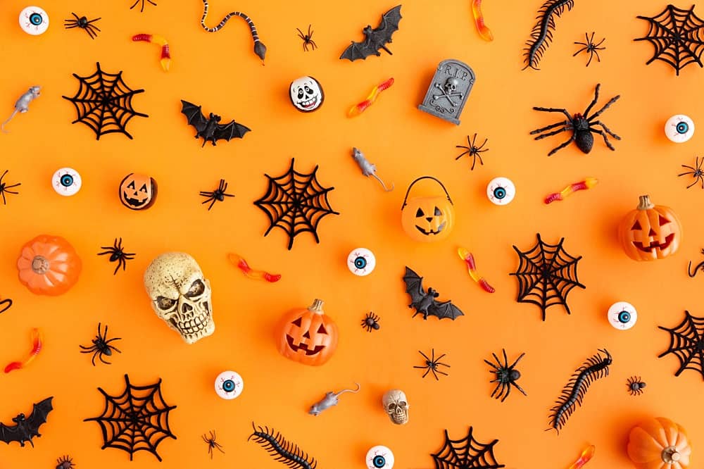 assorted non food halloween treats like fake spiders and skulls on an orange backdrop