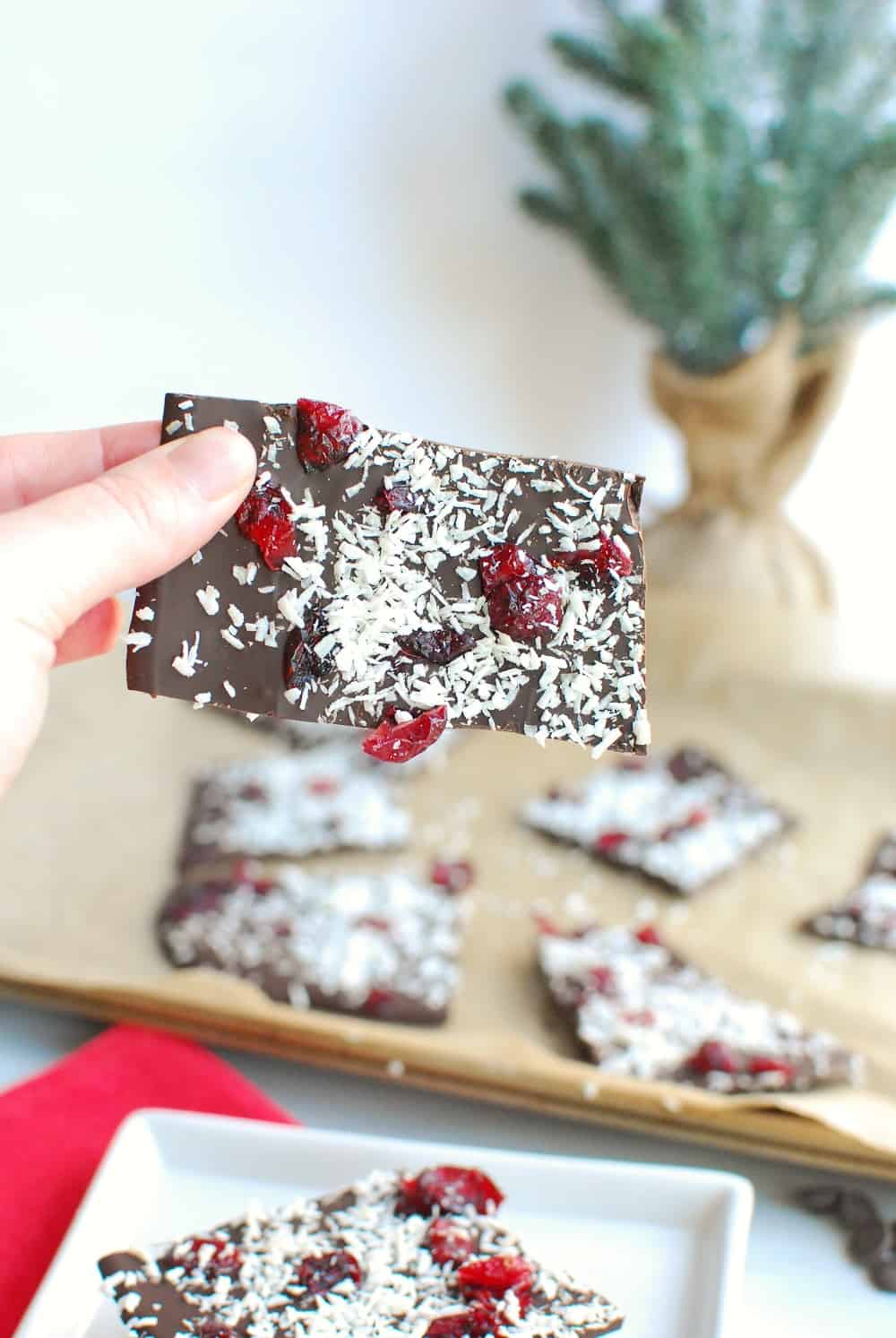 a woman's hand holding a piece of dairy free chocolate bark with coconut and cranberries