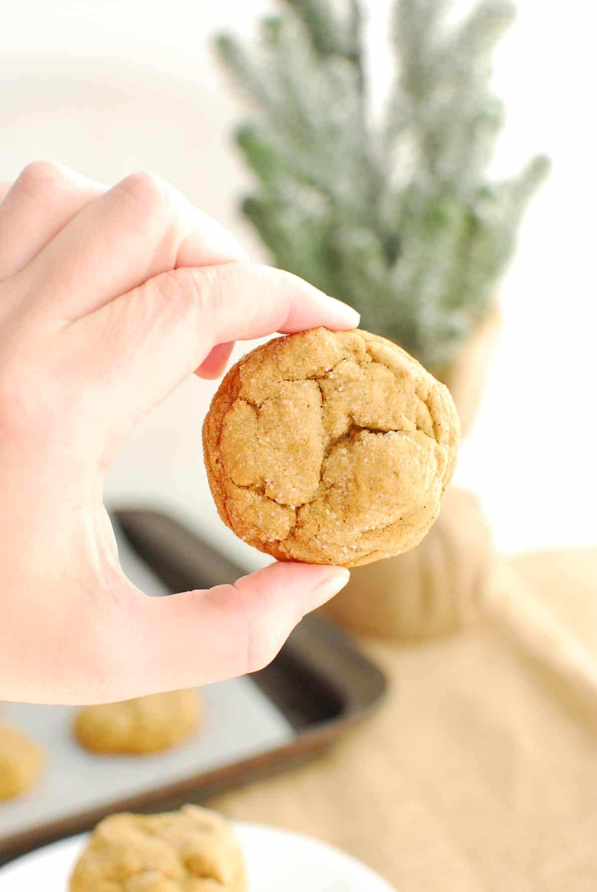 a woman's hand holding one dairy free molasses cookie