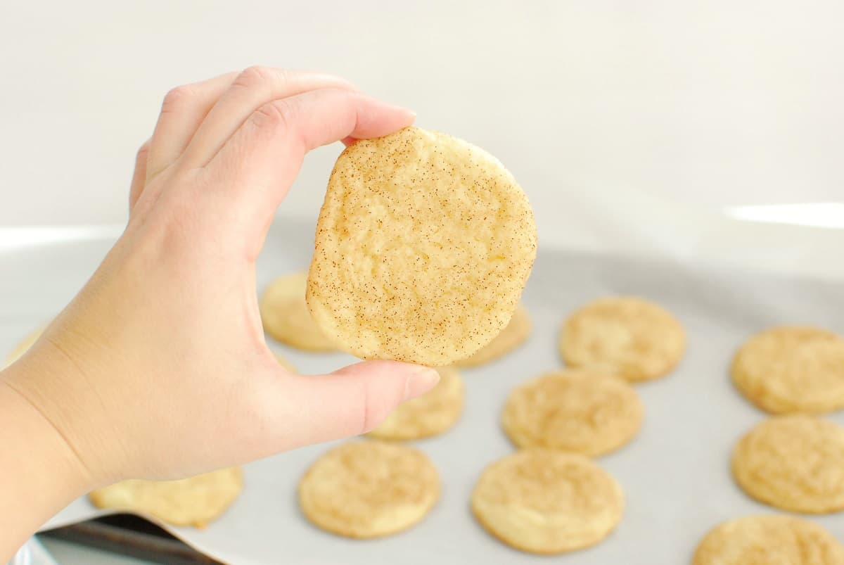 a woman's hand holding a cookie