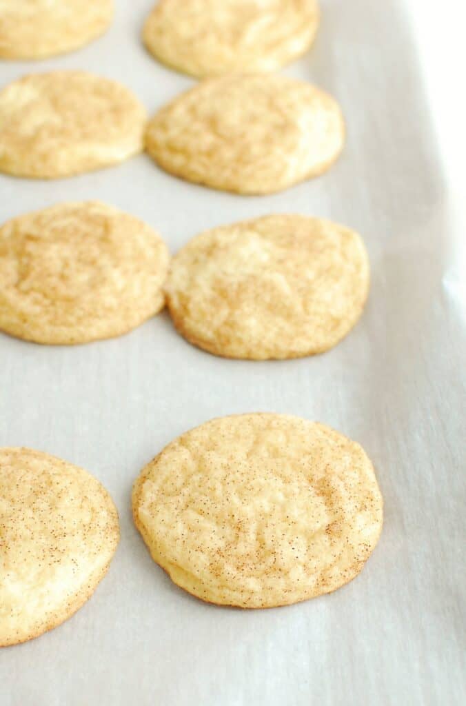 Dairy Free Snickerdoodle Cookies Dairy Free for Baby