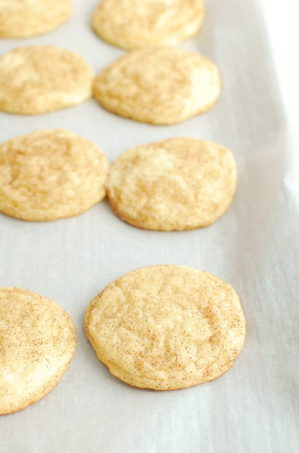 snickerdoodle cookies on a baking sheet