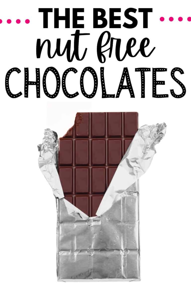 The Best Nut Free Chocolate Brands Dairy Free for Baby