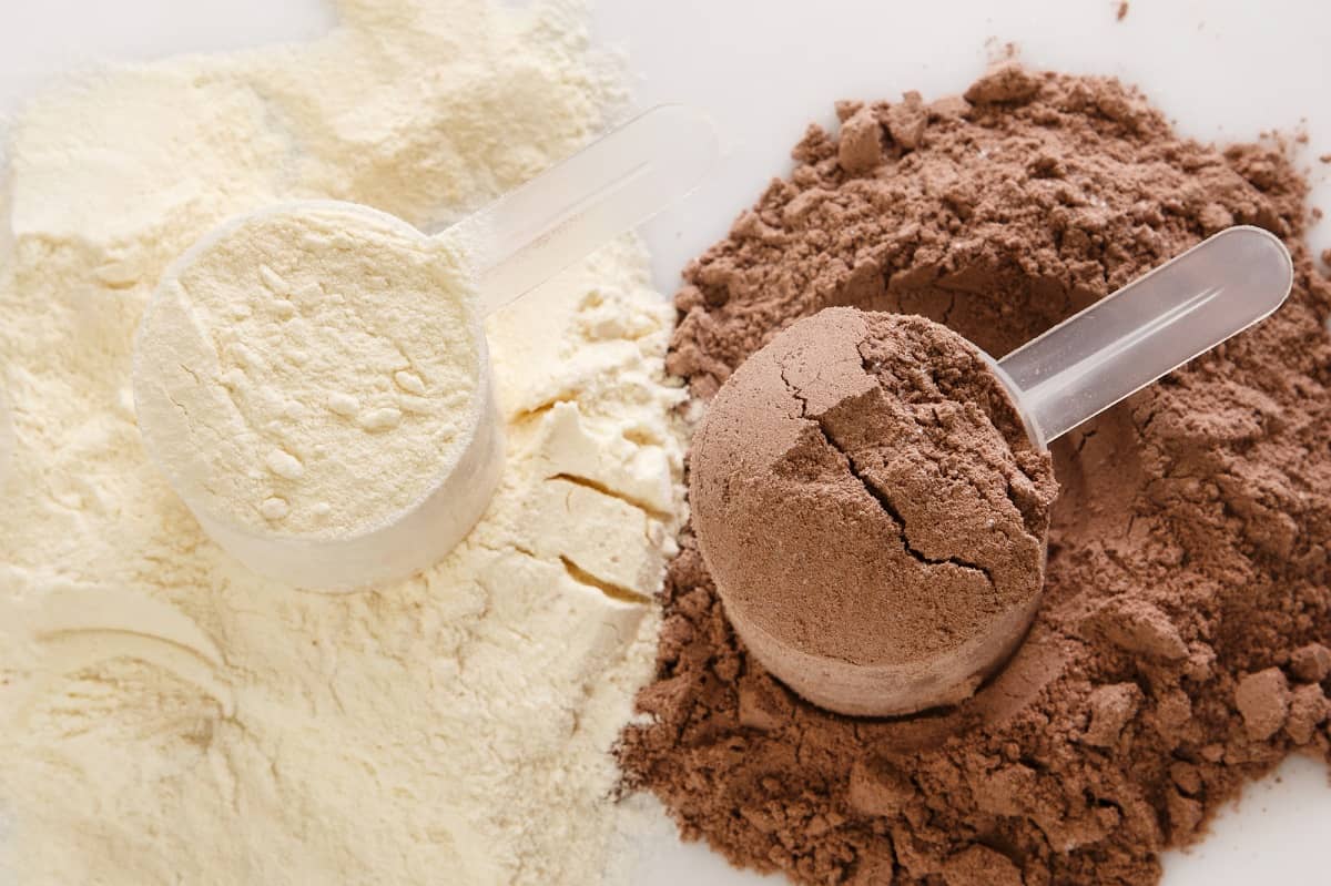 Scoops of alternative protein powders.