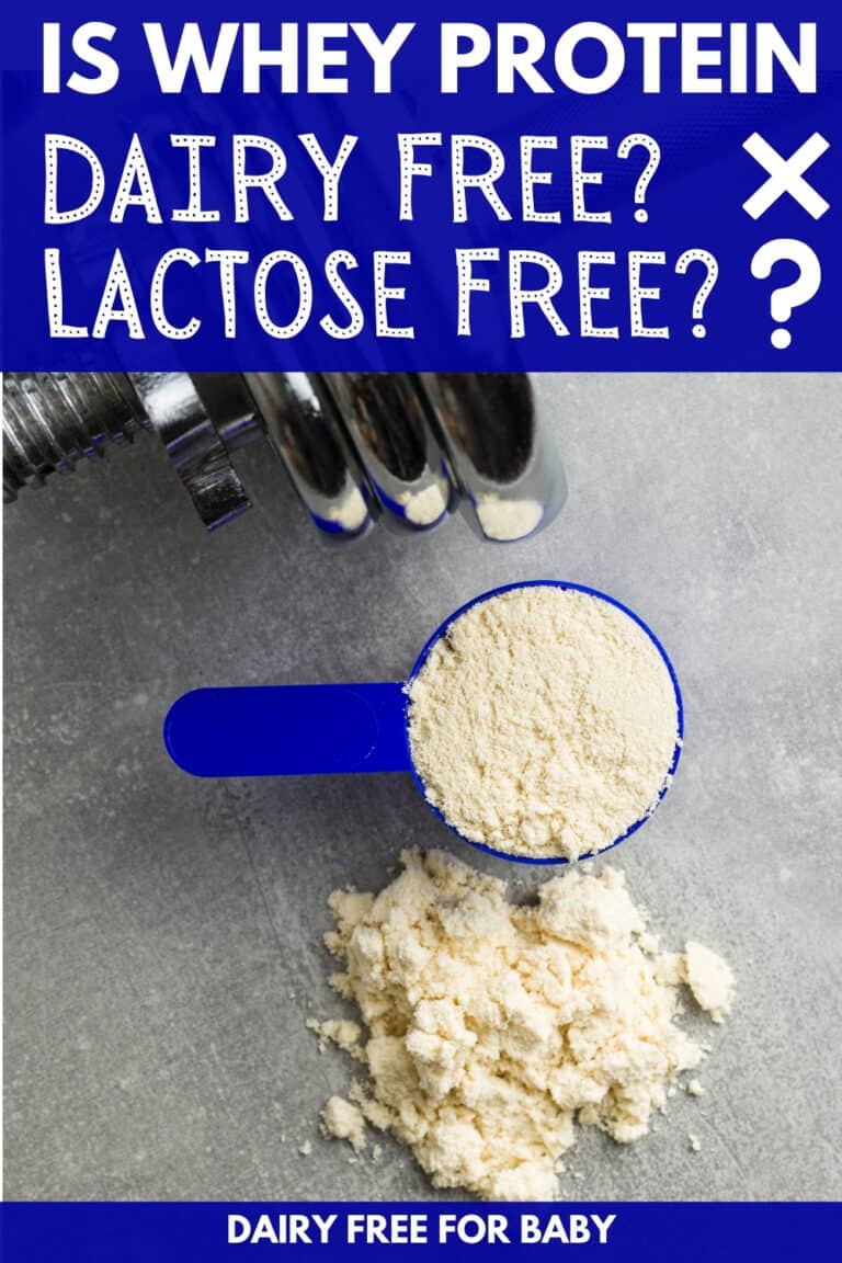 Is Whey Protein Dairy Free and Lactose Free? What You Need to Know