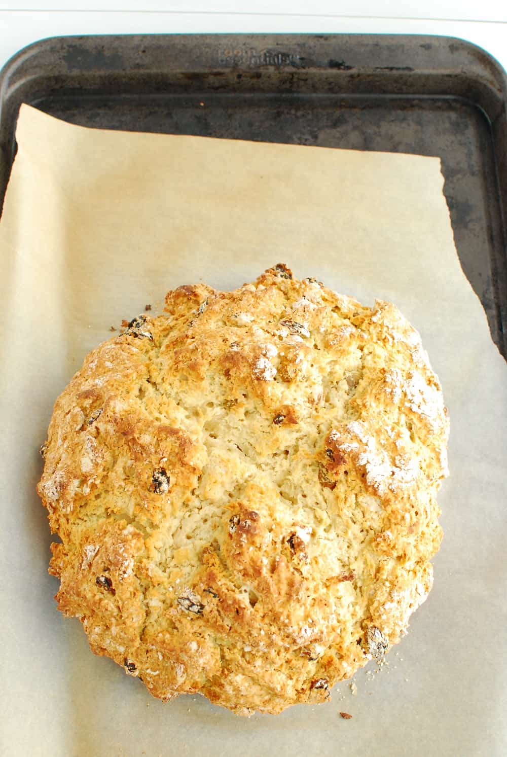 A loaf of cooked vegan spotted dog bread.