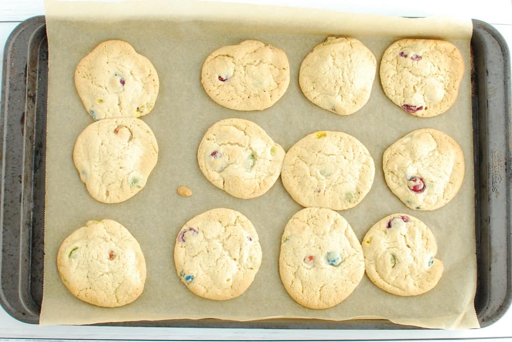 A baking sheet with dairy free M&M cookies after they have come out of the oven.