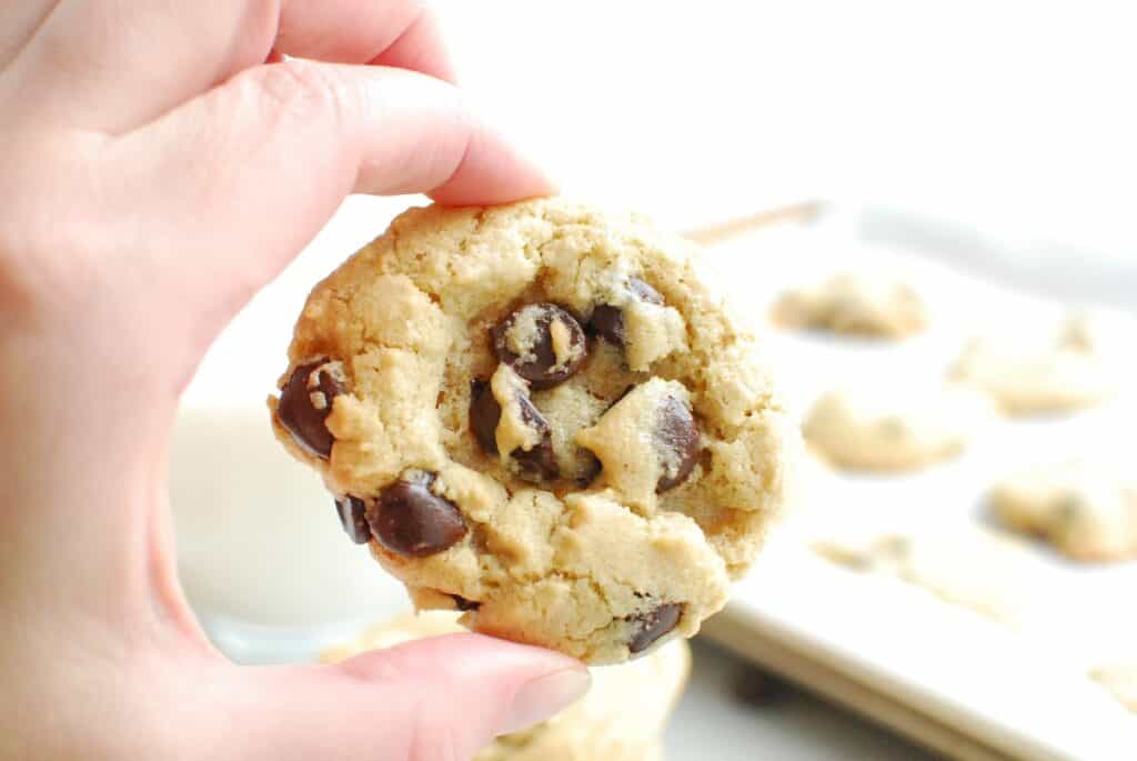 A woman's hand holding a dairy free chocolate chip cookie.