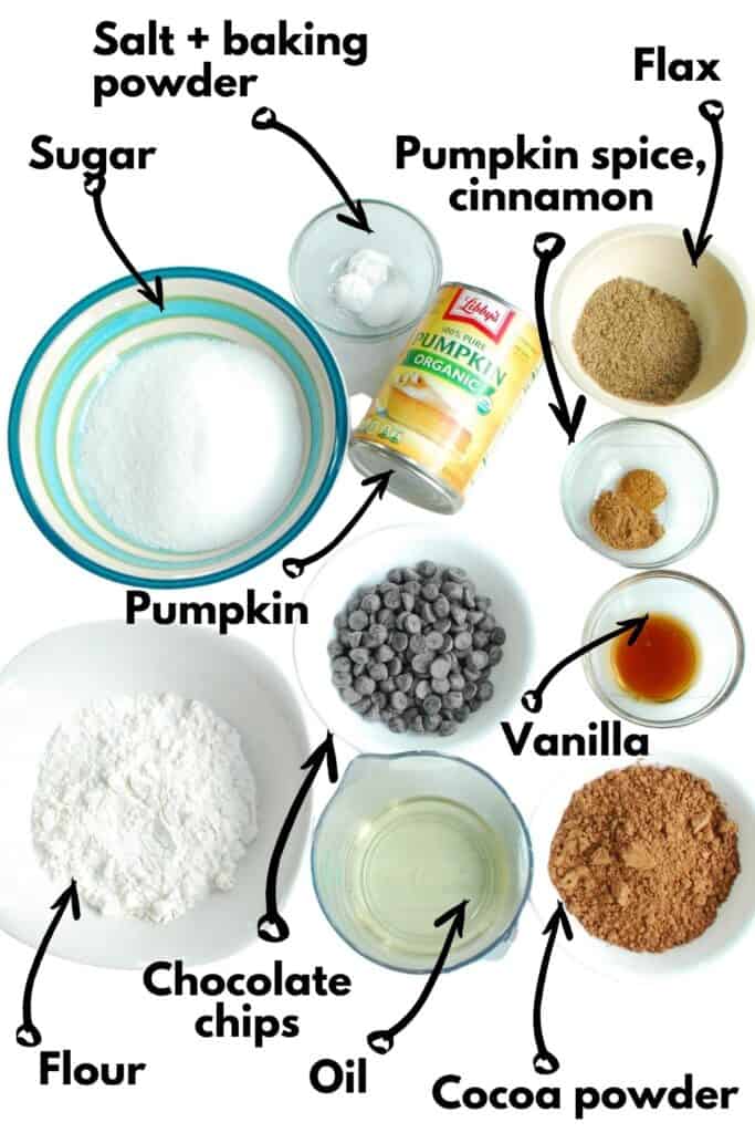Flour, sugar, salt, baking powder, chocolate chips, oil, cocoa powder, vanilla, pumpkin, pumpkin spice, cinnamon, and flax.