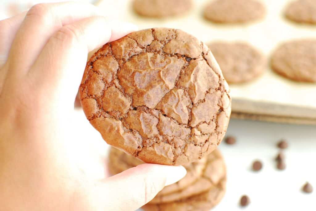 A woman's hand holding a dairy free brownie cookie.