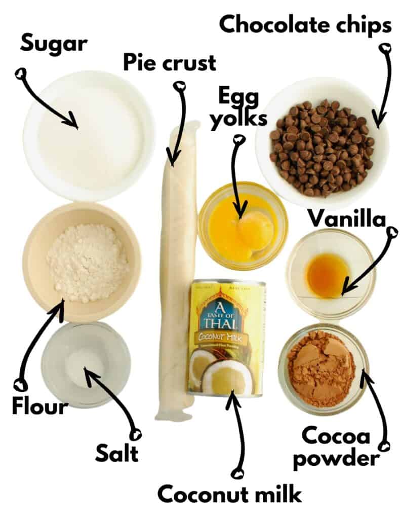 Sugar, flour, salt, pie crust, coconut milk, egg yolk, chocolate chips, vanilla, and cocoa powder.