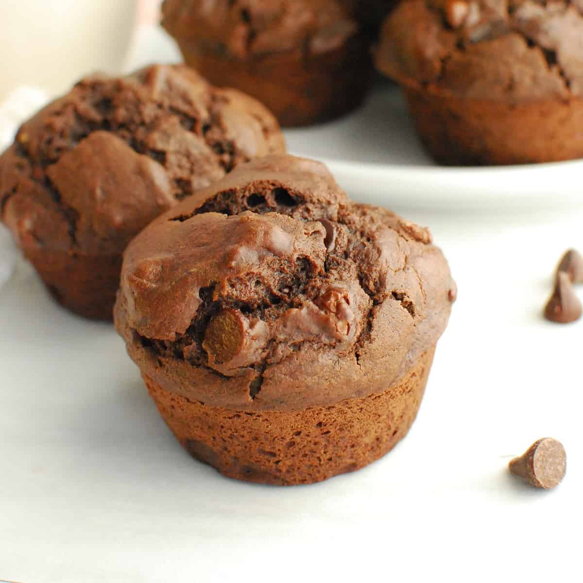 Dairy Free Chocolate Muffins Dairy Free for Baby