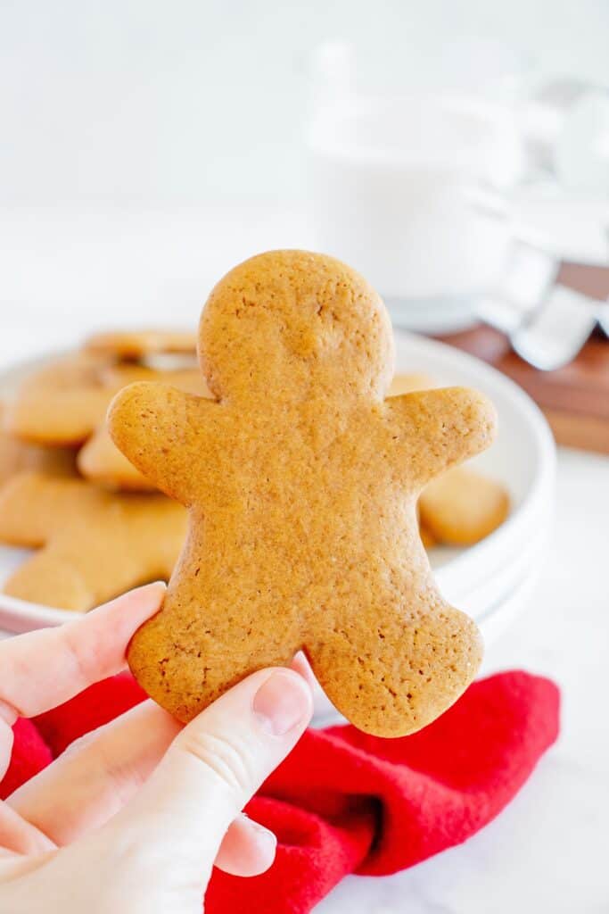 A woman's hand holding up a dairy free gingerbread cookie.