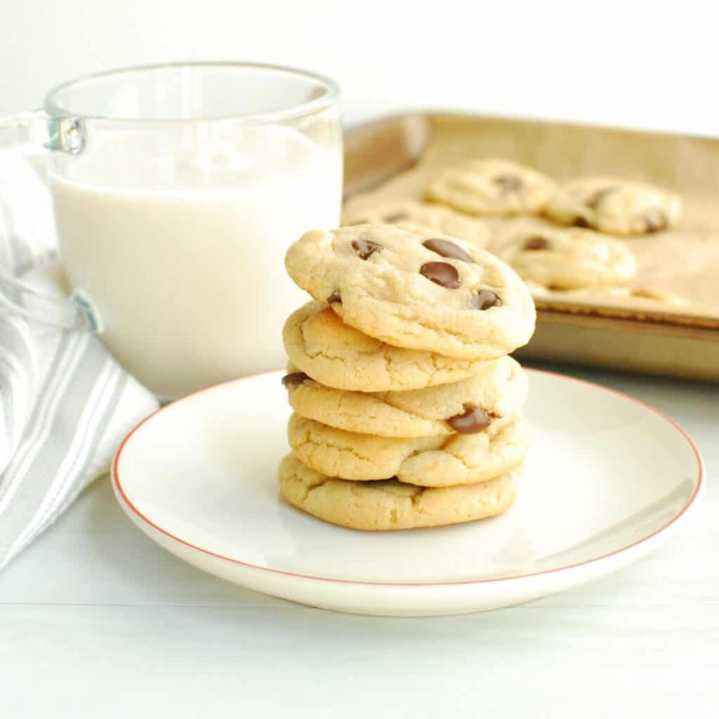 No Butter Chocolate Chip Cookies Dairy Free for Baby