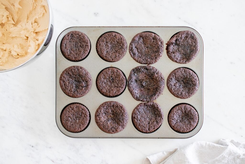 Just baked dairy free chocolate cupcakes in a cupcake tin.