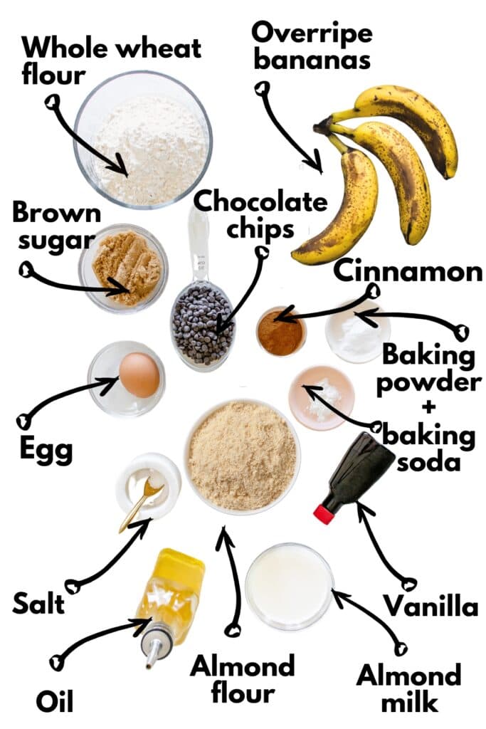 All of the ingredients to make muffins on a white backdrop.