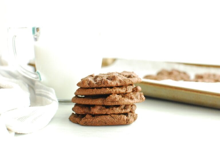 Dairy Free Double Chocolate Cookies Dairy Free for Baby