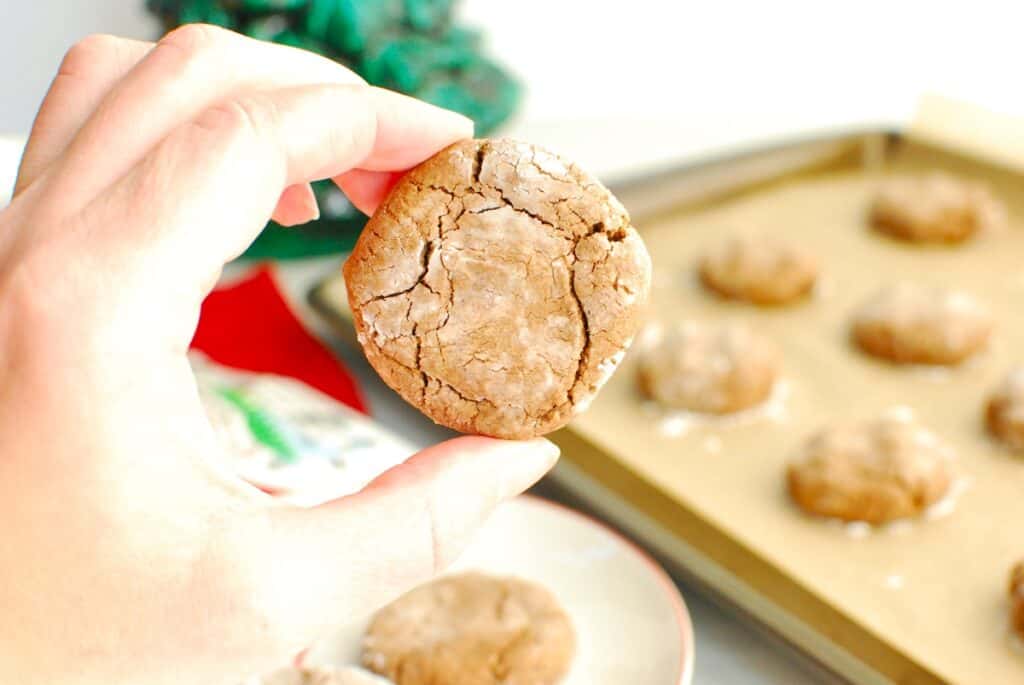 A woman's hand holding a chocolate peanut butter crinkle cookie.