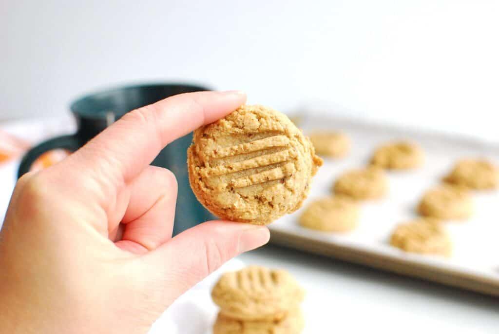 A woman's hand holding a chai-spiced cashew butter cookie.