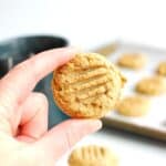 A woman's hand holding a chai spiced cashew butter cookie.
