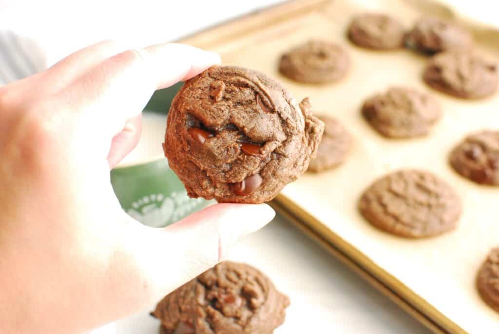 A woman's hand holding a dairy free brownie mix cookie.