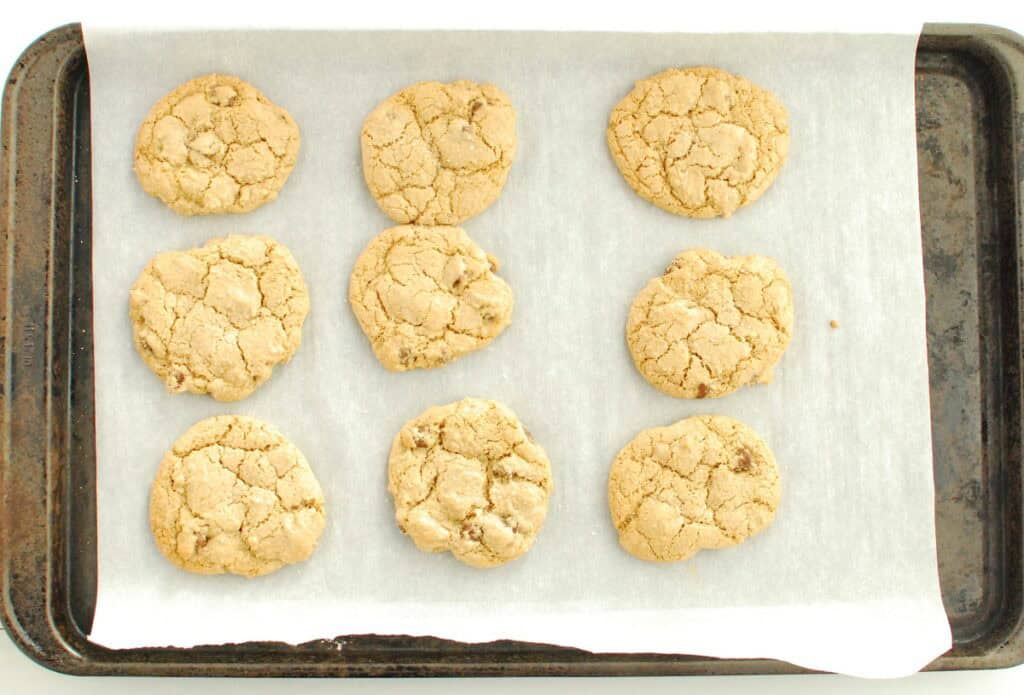Just-baked olive oil cookies on a baking sheet.
