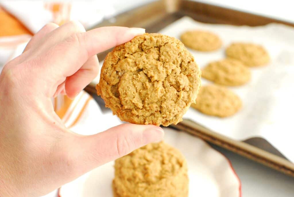A hand holding a dairy free butternut squash molasses cookie.