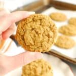 A hand holding a dairy free butternut squash molasses cookie.