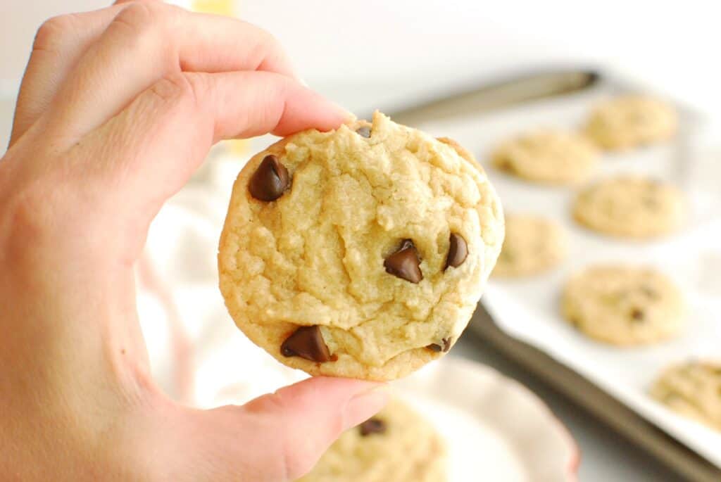 A hand holding a dairy free miso chocolate chip cookie.