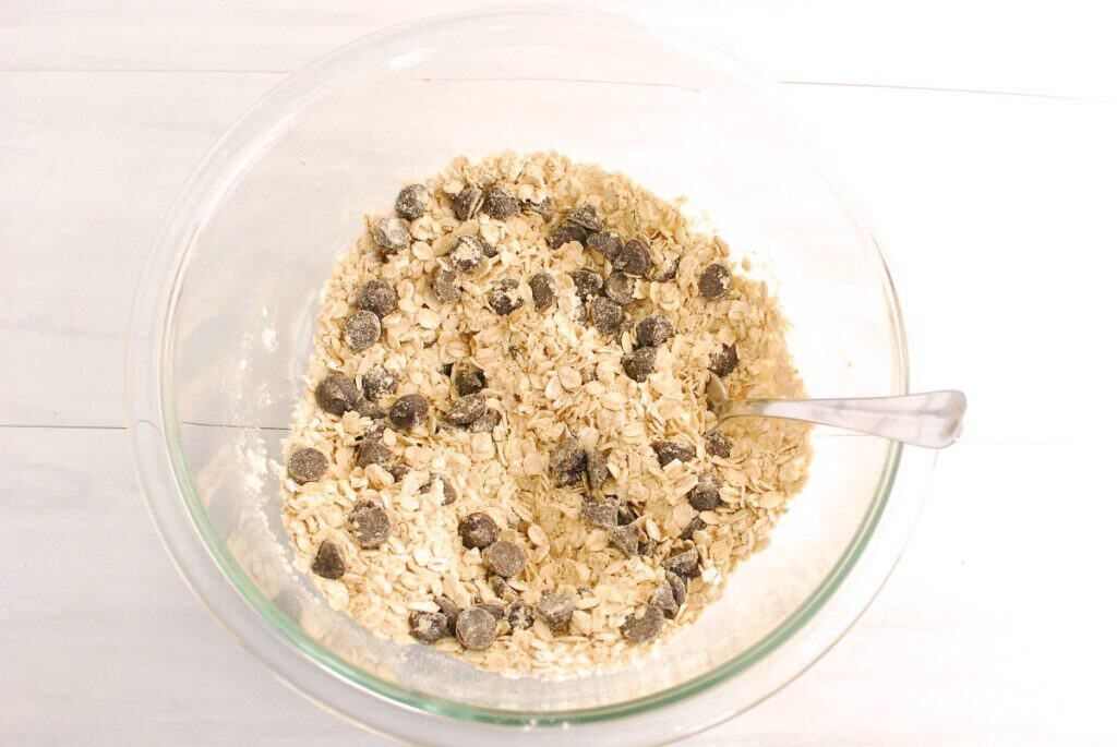 Oats, protein powder, salt, chocolate chips, and coconut mixed together in a glass bowl.