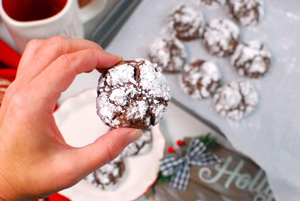 A woman's hand holding a dairy-free chocolate crinkle cookie.